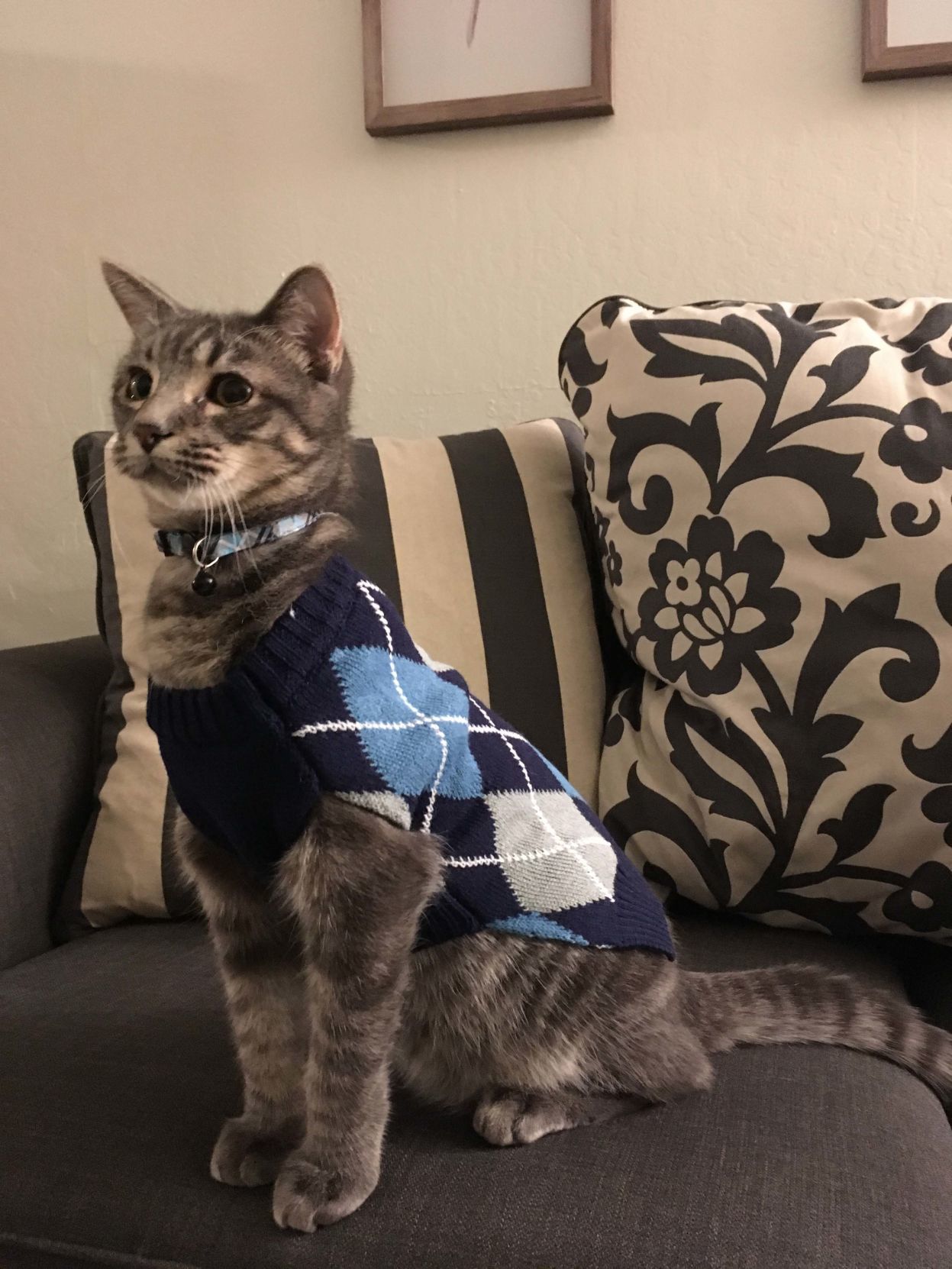 Pic of the Litter: Theo